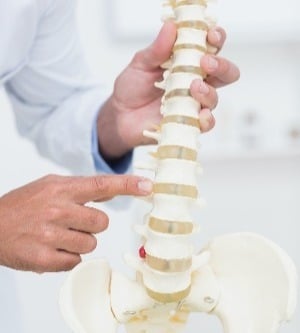 chiropractor pointing a spine model