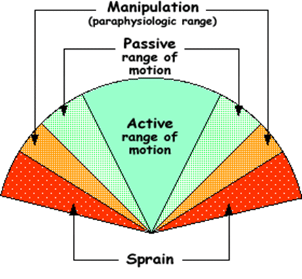 illustration of chiropractic manipulation that makes joint sounds | chiropractic adjustments