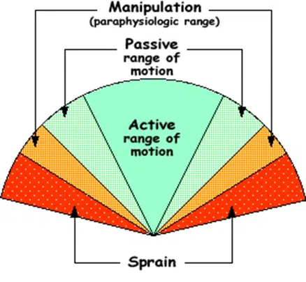 illustration of chiropractic manipulation that makes joint sounds | chiropractic adjustments